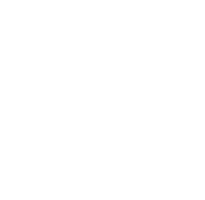 Finnish Minerals Group